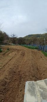 팜모닝 자유주제·자유게시판 게시글 이미지