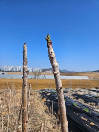 유병욱님의 자유주제 · 자유게시판 작성글 사진