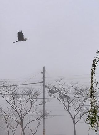 MSG0074님의 자유주제 · 자유게시판 작성글 사진