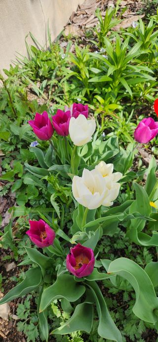 하은와송~♡♡♡~님의 자유주제 · 자유게시판 작성글 사진