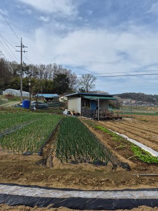 Kns4324님의 자유주제·자유게시판 작성글 사진