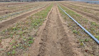 조병대님의 자유주제 · 자유게시판 작성글 사진