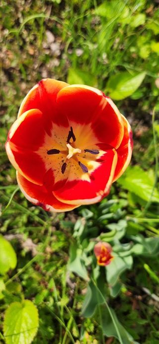 하은와송~♡♡♡~님의 자유주제 · 자유게시판 작성글 사진