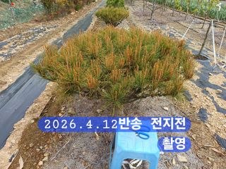 박성민님의 자유주제 · 자유게시판 작성글 사진