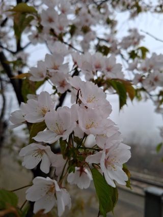 MSG0074님의 자유주제 · 자유게시판 작성글 사진