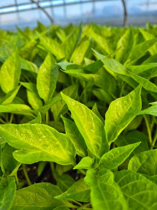 김영진(전남영광)님의 자유주제 · 자유게시판 작성글 사진