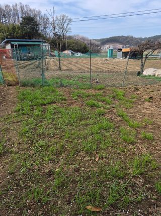 Kns4324님의 자유주제 · 자유게시판 작성글 사진