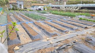 오현성님의 자유주제 · 자유게시판 작성글 사진