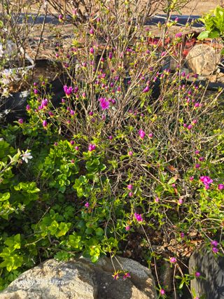 소병찬님의 자유주제 · 자유게시판 작성글 사진