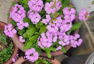 하은와송~♡♡♡~님의 자유주제 · 자유게시판 작성글 사진