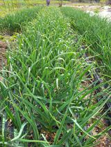 정소망님의 자유주제·자유게시판 작성글 사진