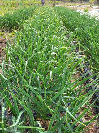 정소망님의 자유주제 · 자유게시판 작성글 사진