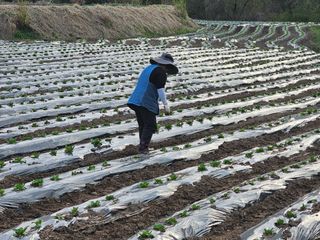 백용기님의 자유주제 · 자유게시판 작성글 사진