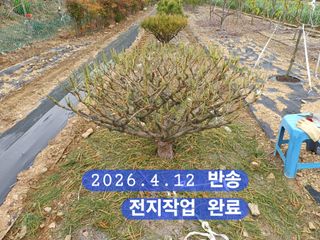 박성민님의 자유주제 · 자유게시판 작성글 사진