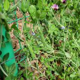 이창화님의 자유주제·자유게시판 작성글 사진