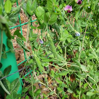 이창화님의 자유주제 · 자유게시판 작성글 사진