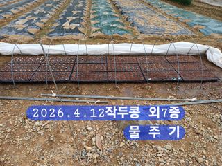 박성민님의 자유주제 · 자유게시판 작성글 사진