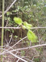 김민수산에서농사중님의 자유주제·자유게시판 작성글 사진