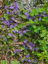 팜모닝 자유주제·자유게시판 게시글 이미지