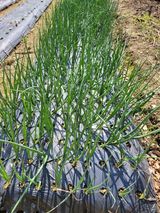 정소망님의 자유주제·자유게시판 작성글 사진