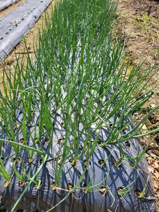 정소망님의 자유주제 · 자유게시판 작성글 사진