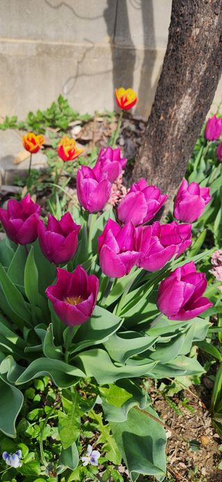 하은와송~♡♡♡~님의 자유주제 · 자유게시판 작성글 사진