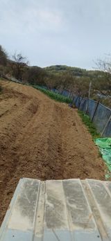 초보퍼머5도2촌준비님의 자유주제·자유게시판 작성글 사진