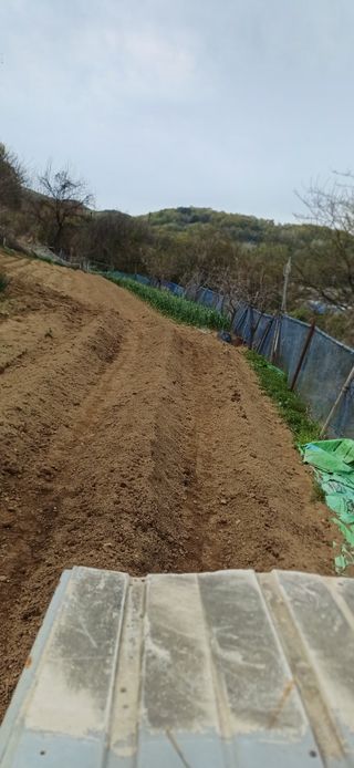 초보퍼머5도2촌준비님의 자유주제 · 자유게시판 작성글 사진