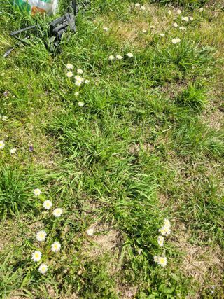 김선순(공룡자색마)님의 자유주제 · 자유게시판 작성글 사진