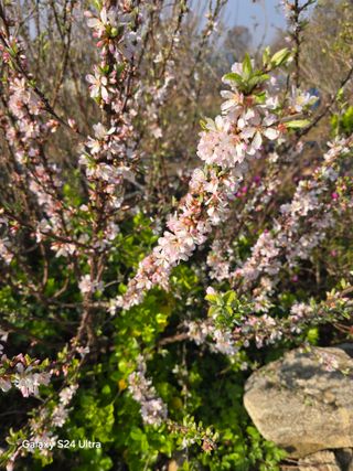 소병찬님의 자유주제 · 자유게시판 작성글 사진