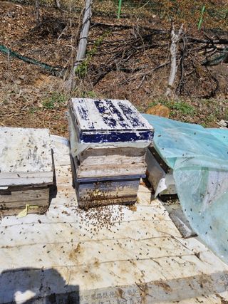 신지연님의 자유주제 · 자유게시판 작성글 사진