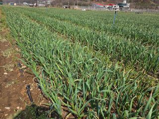 김태혁님의 자유주제 · 자유게시판 작성글 사진