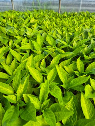 김영진(전남영광)님의 자유주제 · 자유게시판 작성글 사진