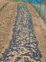 팜모닝 자유주제·자유게시판 게시글 이미지