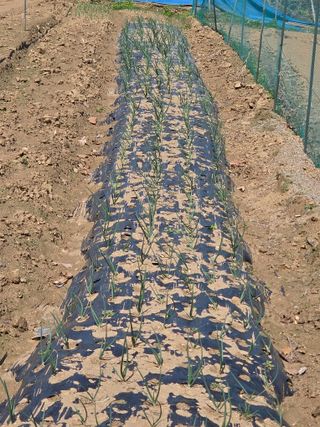 권병☆님의 자유주제·자유게시판 작성글 사진