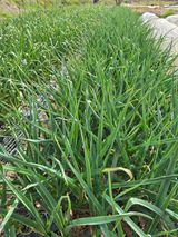 정소망님의 자유주제·자유게시판 작성글 사진