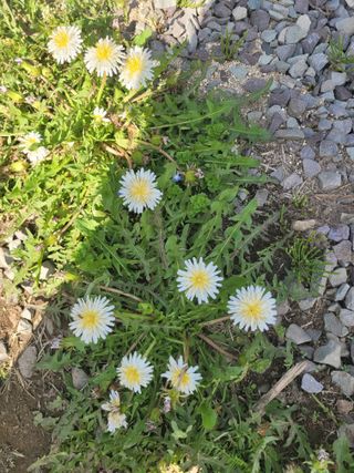 김선순(공룡자색마)님의 자유주제 · 자유게시판 작성글 사진