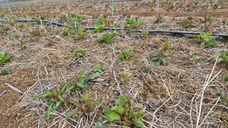 조병대님의 자유주제·자유게시판 작성글 사진