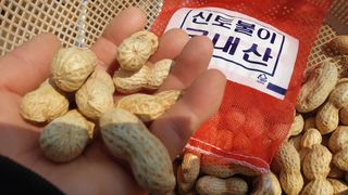 농부아내님의 작성글 사진