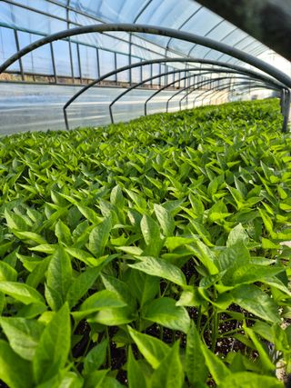 김영진(전남영광)님의 자유주제 · 자유게시판 작성글 사진