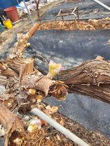 최순호님의 자유주제·자유게시판 작성글 사진