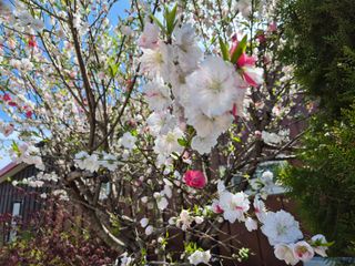 리챠드님의 자유주제 · 자유게시판 작성글 사진