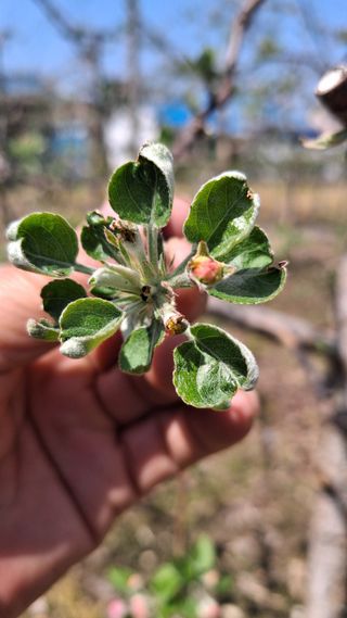작은정원 박기석님의 자유주제 · 자유게시판 작성글 사진