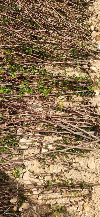 임원식님의 자유주제 · 자유게시판 작성글 사진