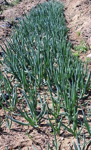 MSG0074님의 자유주제 · 자유게시판 작성글 사진