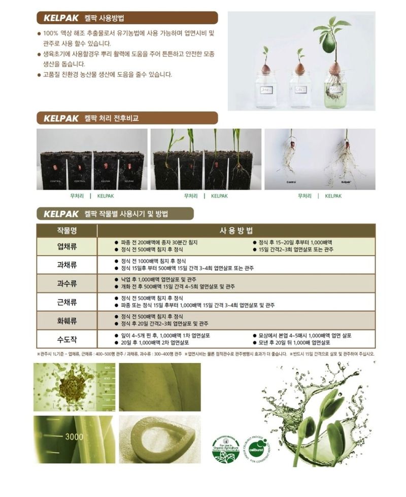 대산농사대장님의 장터 판매 상품 [켈팍 해조추출물 뿌리발근 촉진 세포분열 냉해 식물영양제 ] 첨부 사진
