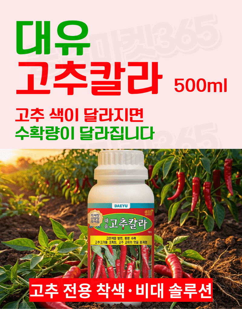 농업마켓365님의 장터 판매 상품 [대유 고추칼라 500ml 고추착색제 비대제 착과촉진제 식물영양제] 첨부 사진