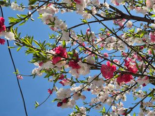 리챠드님의 자유주제 · 자유게시판 작성글 사진