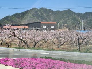 MSG0074님의 자유주제 · 자유게시판 작성글 사진