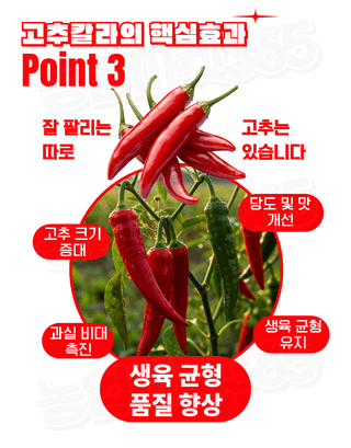 농업마켓365님의 작성글 사진